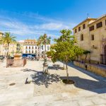 Plaza con edificios históricos, palmeras y un árbol en el centro, ideal para paseos y actividades al aire libre en un día soleado.